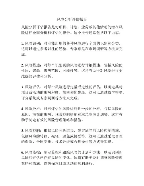 风险分析评估报告