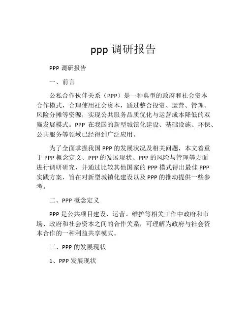 ppp调研报告