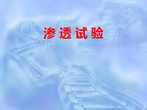 实验2：渗透试验..