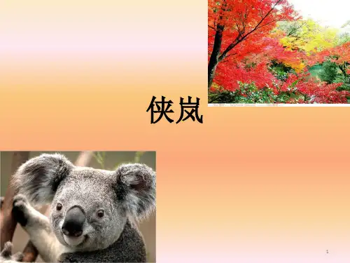 侠岚介绍1