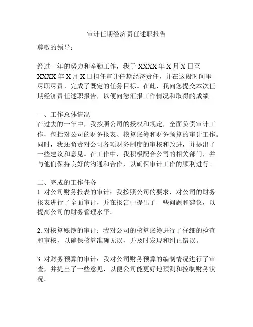 审计任期经济责任述职报告