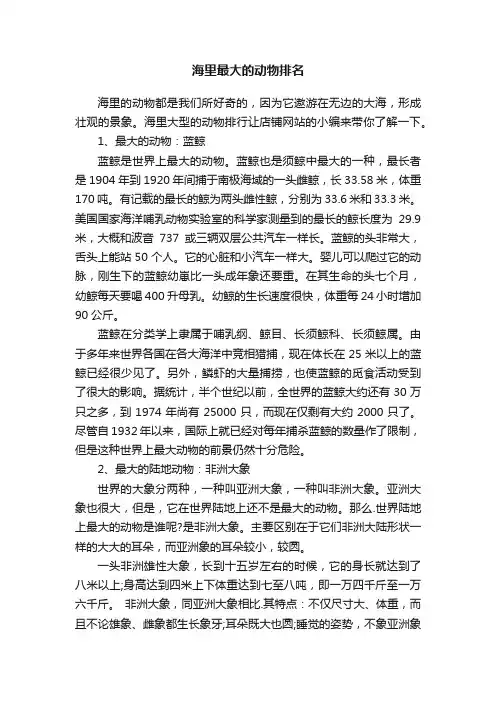 海里最大的动物排名