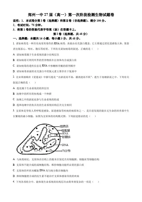 河南省郑州市第一中学2024-2025学年高一上学期第一次月考试题 生物(含答案)