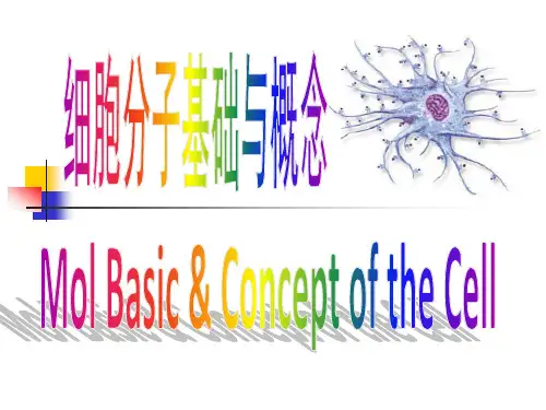 分子基础和基本概念