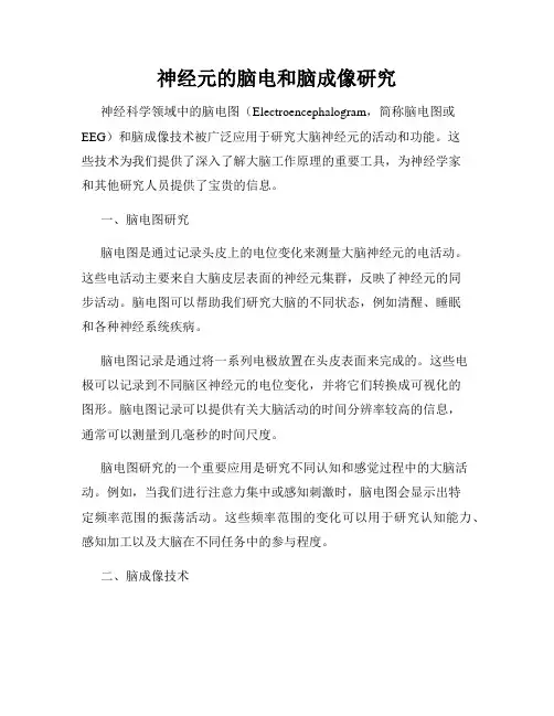 神经元的脑电和脑成像研究