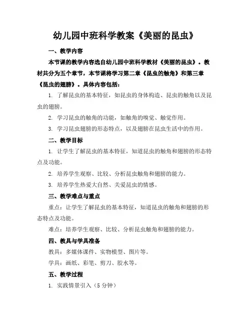 幼儿园中班科学教案《美丽的昆虫》