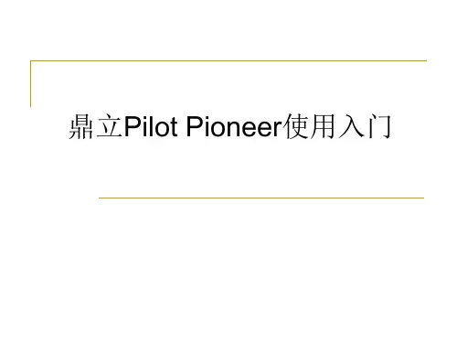 鼎立Pilot Pioneer使用入门