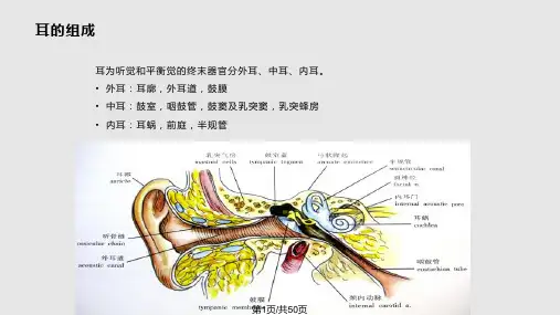 耳部常见疾病PPT课件
