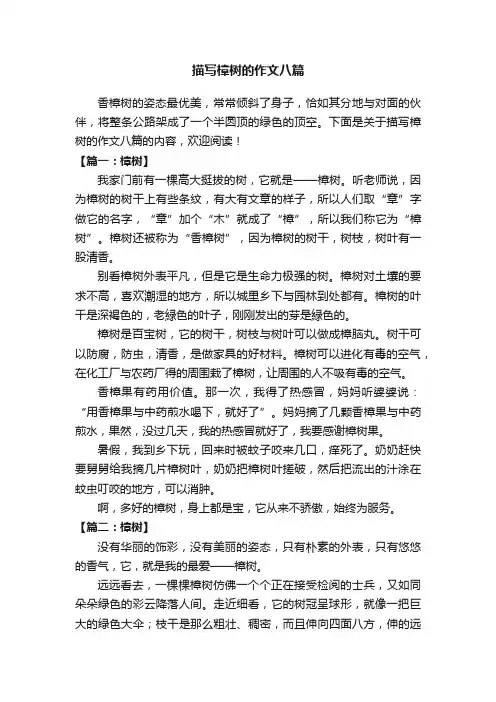 描写樟树的作文八篇