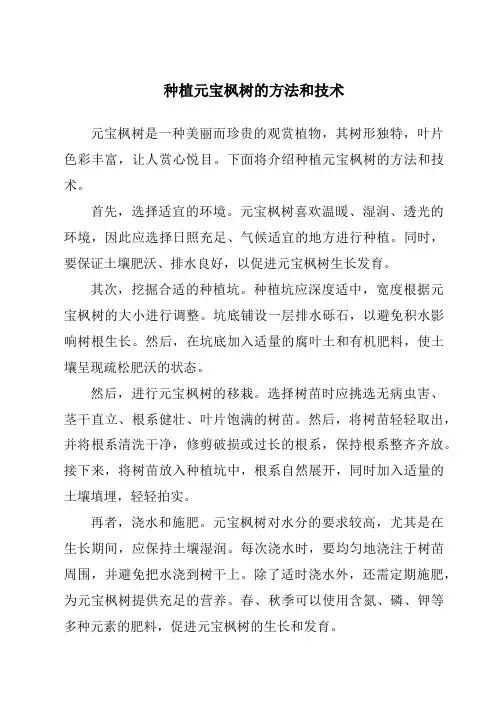 种植元宝枫树的方法和技术