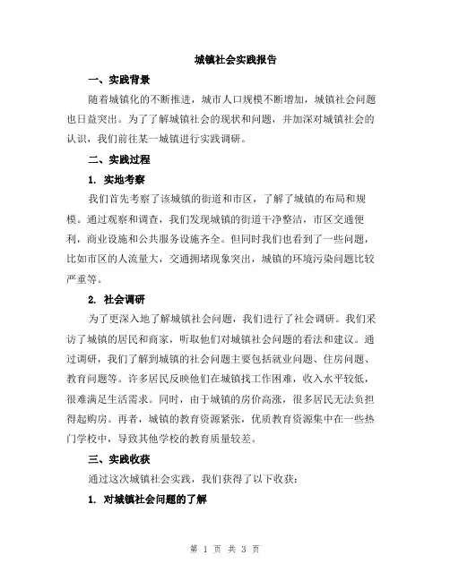 城镇社会实践报告