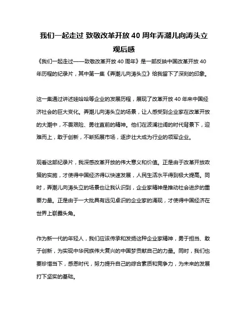 我们一起走过 致敬改革开放40周年弄潮儿向涛头立观后感