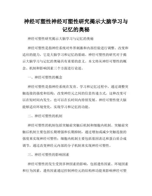 神经可塑性神经可塑性研究揭示大脑学习与记忆的奥秘