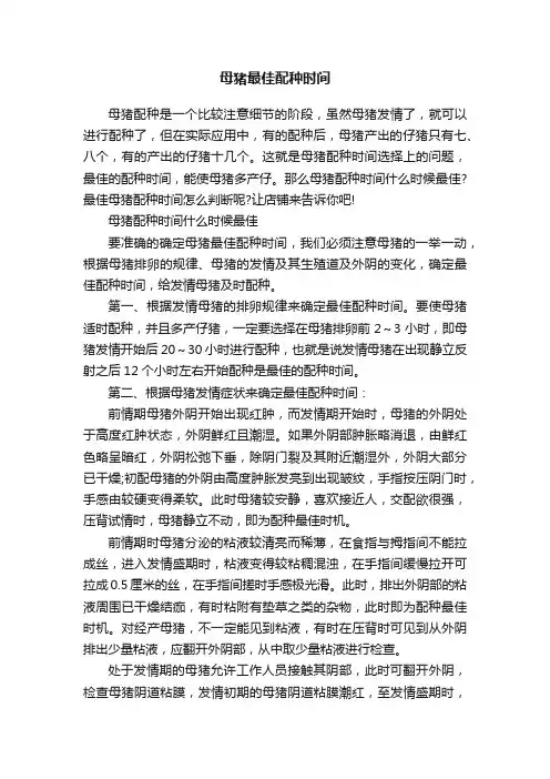 母猪最佳配种时间
