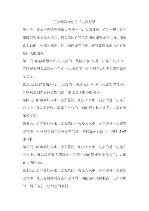 五年级蒜叶的生长过程记录