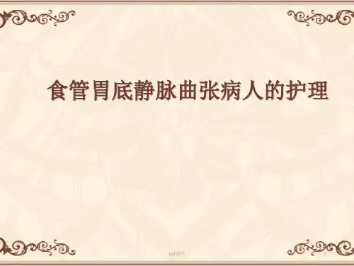 食管胃底静脉曲张病人的护理  ppt课件