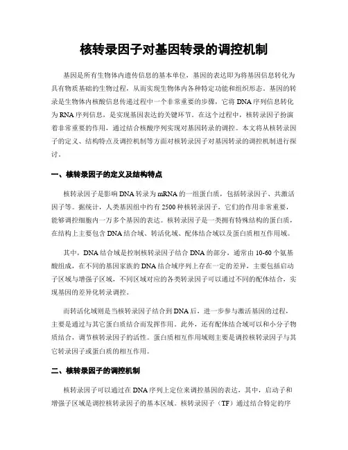 核转录因子对基因转录的调控机制