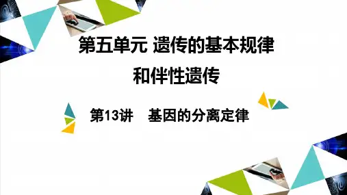 高三一轮复习生物基因的分离定律课件