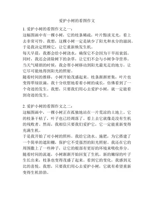 爱护小树的看图作文