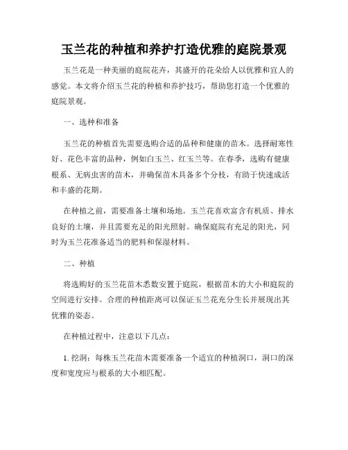 玉兰花的种植和养护打造优雅的庭院景观
