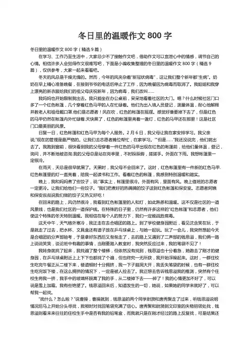 冬日里的温暖作文800字（精选9篇）