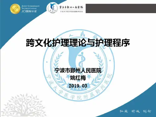 多元文化护理与护理程序护士长PPT课件