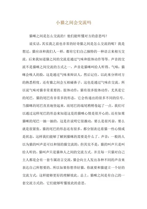 小猫之间会交流吗