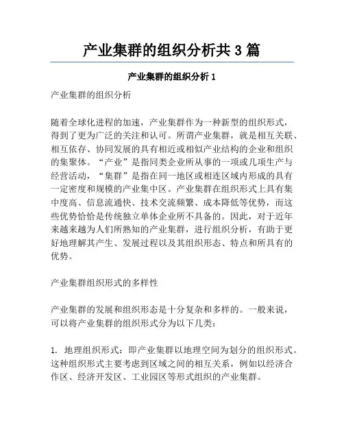 产业集群的组织分析共3篇