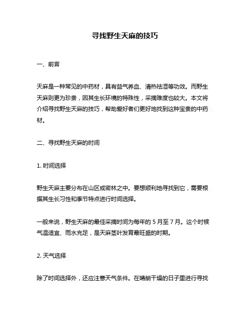 寻找野生天麻的技巧