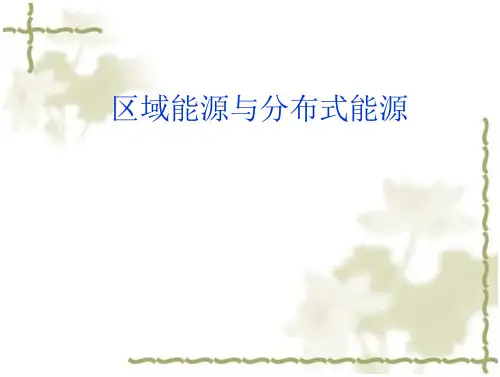 区域能源与分布式能源.PPT