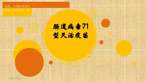 肠道病毒71型灭活疫苗
