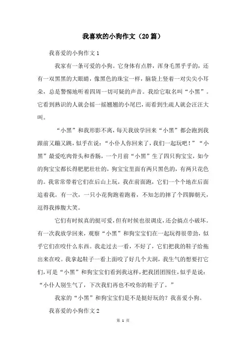我喜欢的小狗作文(20篇)