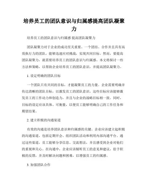 培养员工的团队意识与归属感提高团队凝聚力