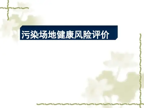污染场地健康风险评价