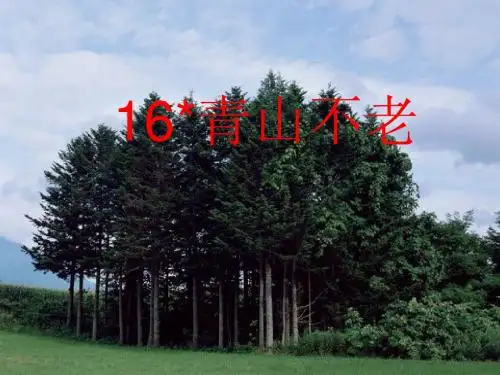 人教版六年级语文上册16课《青山不老》课件 (1)