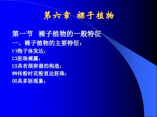 《植物学》下第6章课件