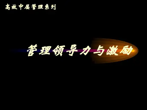 HR进阶必学管理领导力与激励PPT