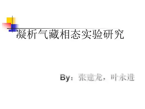 pvt-实验分析(1)
