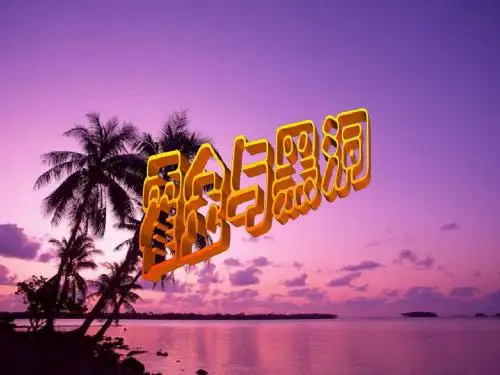 霍金与黑洞