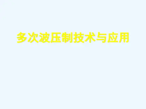 多次波压制技术与应用12