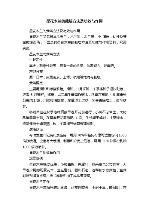 星花木兰的栽培方法及功效与作用