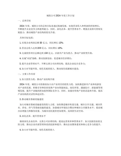 城投公司2024年度工作计划