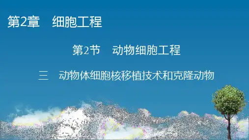 人教版高中生物选择性必修第3册 第2章 第2节 3 动物体细胞核移植技术和克隆动物