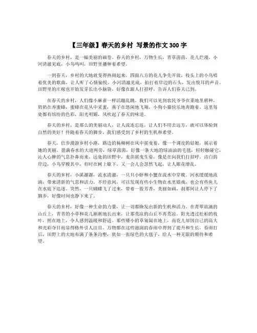 【三年级】春天的乡村 写景的作文300字