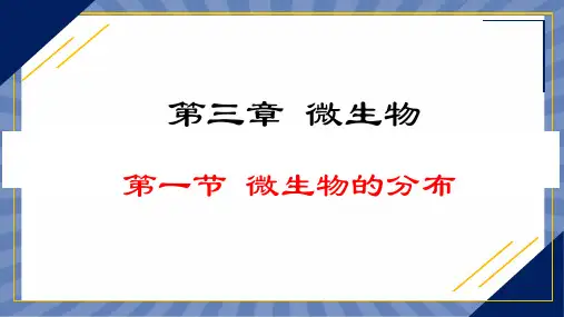 教学课件生物人教版(2024版)七年级上册2.3.1 微生物的分布 课件01