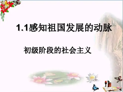 粤教版九年级道德与法治1.2 初级阶段的社会主义 (13张幻灯片)(优质版)