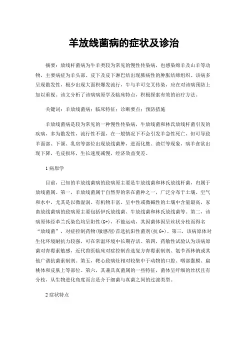 羊放线菌病的症状及诊治