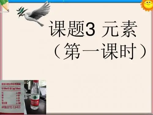 中学九年级化学上册 3.3 元素(第一课时)课件 (新版)新人教版