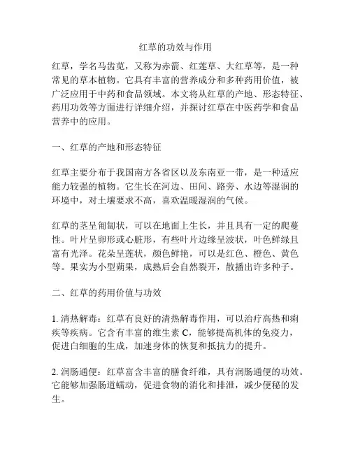 红草的功效与作用