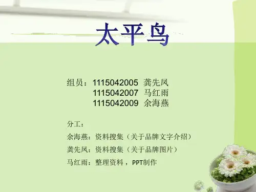 太平鸟品牌服装